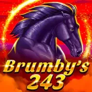 Brumby's 2431spin4win
